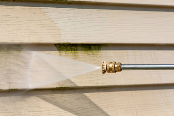 Best Roof Power Washing Services  in Appleton, MN