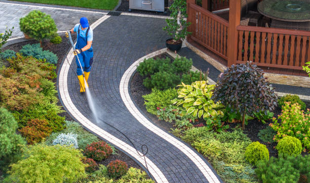 Best Deck Cleaning Services  in Appleton, MN